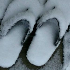 Meet your Posher, Eileen